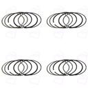 رینگ پیستون ریو مارموت