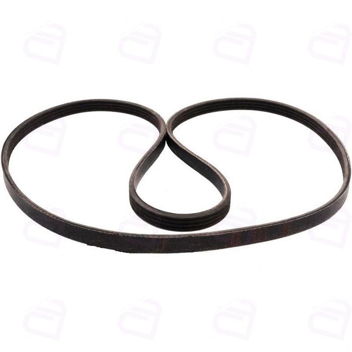 تسمه کولر آردی رایکالتون