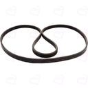 تسمه کولر آردی رایکالتون