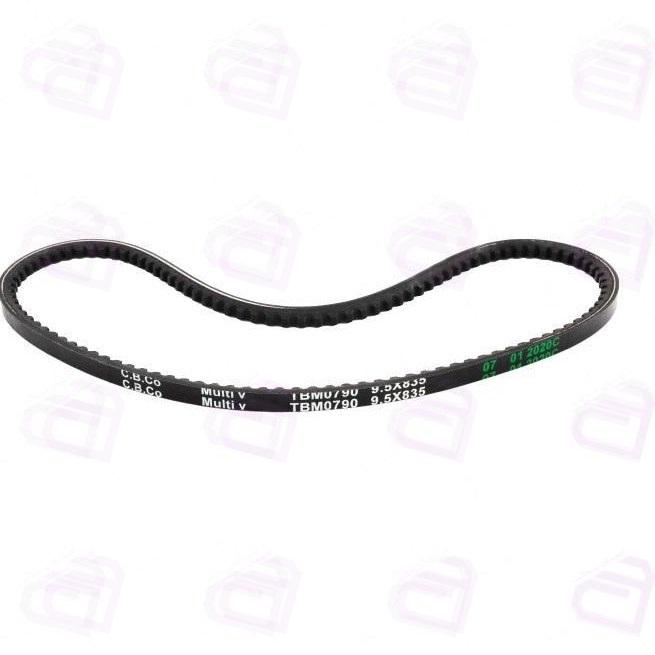 تسمه دینام پیکان رایکالتون