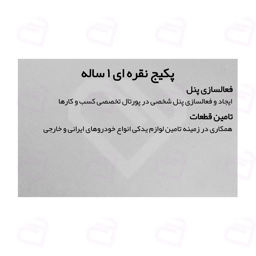پکیج نقره ای پورتال تخصصی کسب و کار