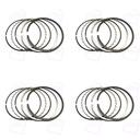 رینگ پیستون تیبا هافنر 20415200