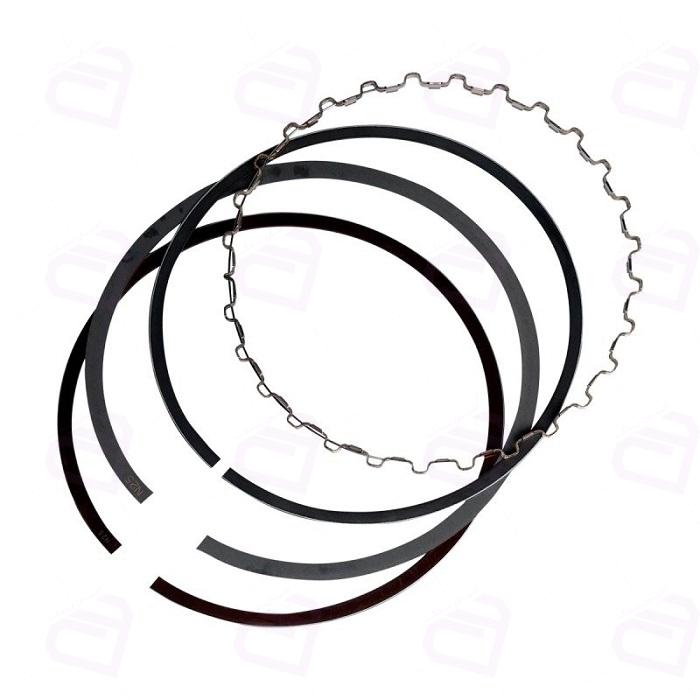 رینگ پیستون تیبا کاپلان 3001792