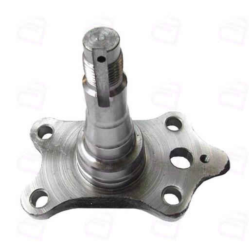 توپی چرخ عقب تیبا امیرنیا 5052101010