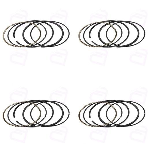 رینگ پیستون ریو هافنر 21615200