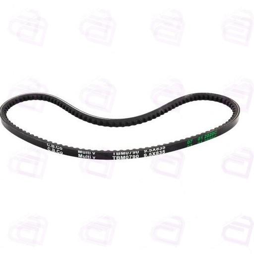 تسمه دینام پیکان رایکالتون