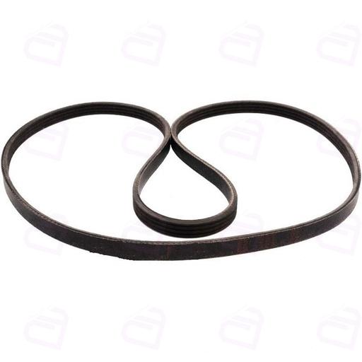 تسمه کولر آردی رایکالتون